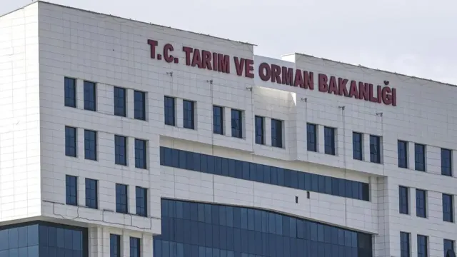 Veteriner hekimlerden Bakanlığa çağrı: 'Kan alma işlemleri ücret kapsamına alınsın'