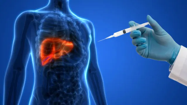 Son araştırmalar ortaya koydu. Organ nakline alternatif bir yöntem olabilir